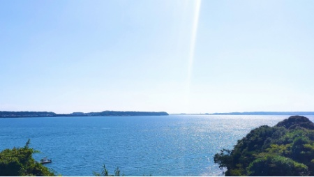 うなぎの街 静岡県浜松