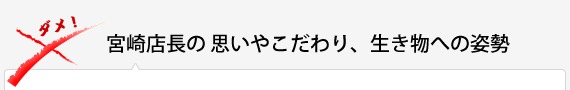 宮崎店長の思いやこだわり、生き物への姿勢