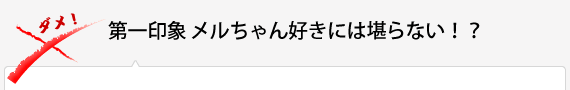 第一印象　メルちゃん好きには堪らない！？