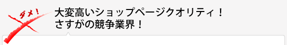 大変高いショップページクオリティ！　さすがの競争業界！