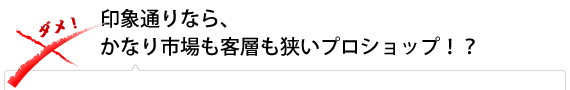 印象通りなら、かなり市場も客層も狭いプロショップ！？