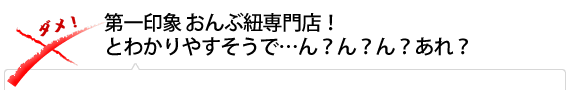 第一印象 おんぶ紐専門店！とわかりやすそうで…ん？ん？ん？あれ？