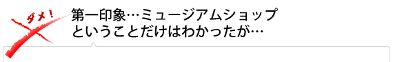 第一印象…ミュージアムショップということだけはわかったが…