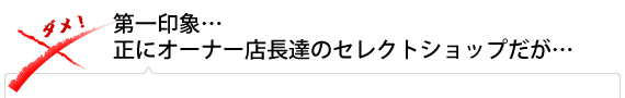 第一印象…正にオーナー店長達のセレクトショップだが…