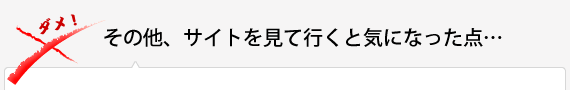 その他、サイトを見て行くと気になった点…