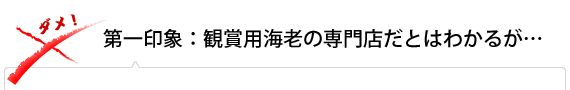 第一印象：観賞用海老の専門店だとはわかるが…