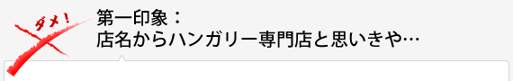 第一印象：店名からハンガリー専門店と思いきや…