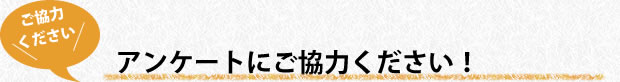 アンケートにご協力ください！