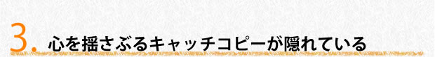 心を揺さぶるキャッチコピーが隠れている